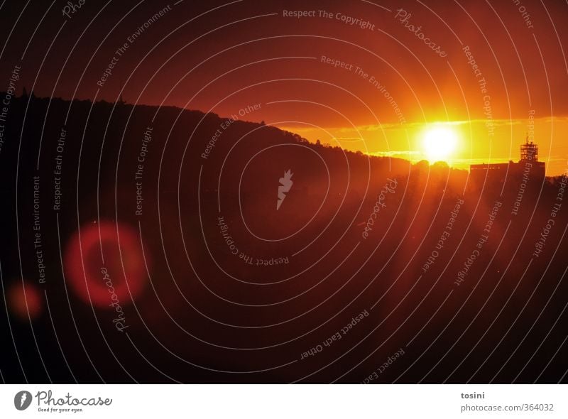 bye bye, summer Nature Sun Sunrise Sunset Sunlight Yellow Orange Dusk Beautiful Fantastic Impressive Colour photo Exterior shot Evening Twilight Contrast