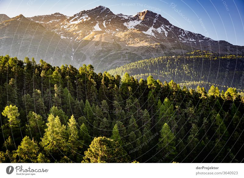 View of the Piz Corvatsch in the Engadin in Graubünden in the morning Sunbeam Day Light Exterior shot Alps Nature Nature reserve Effort Environment Hiking