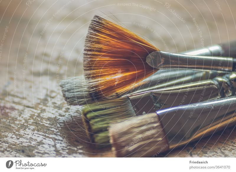 Brushes ready for the painting lesson Paintbrush Acrylic brush Art Multicoloured Leisure and hobbies Creativity Painting (action, artwork) Close-up