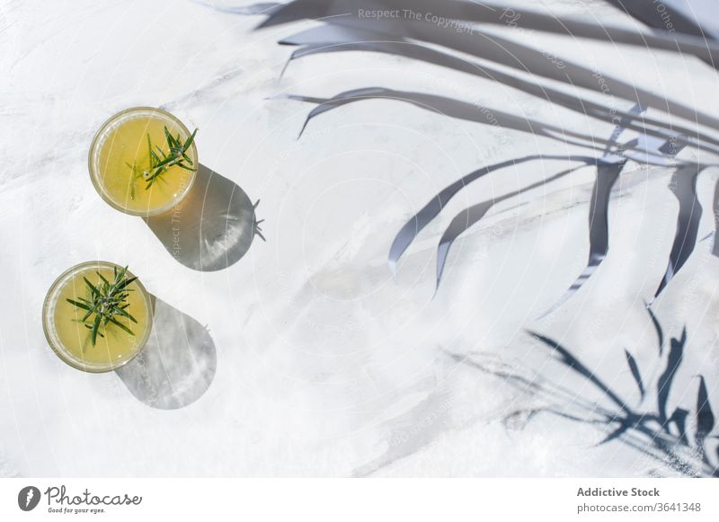 Fresh lemon juice with rosemary on table citrus refreshment garnish sunny drink delicious cold glass beverage organic healthy natural sprig tasty herb marble