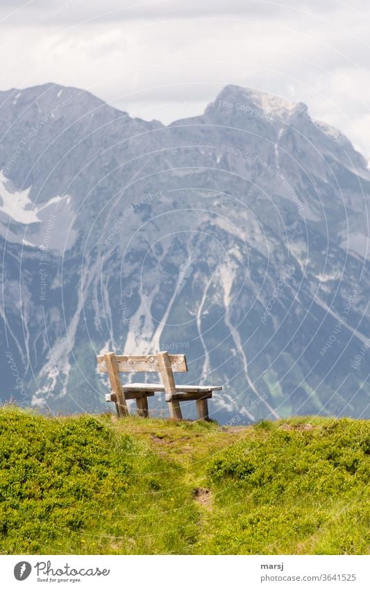 A wooden bench in the middle of blueberry bushes in the mountains. For willma and bit.it, who love to sit and eat their nougat nut corners covered with marzipan.