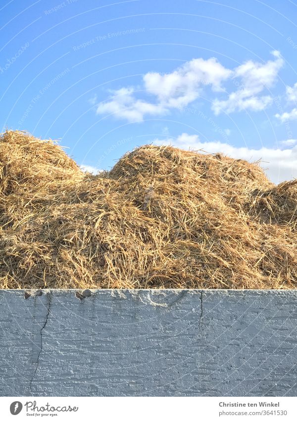 A grey cracked concrete wall, behind it a dung heap and above all a beautiful blue sky with white clouds Manure heap Concrete wall Blue sky little cloud Summer