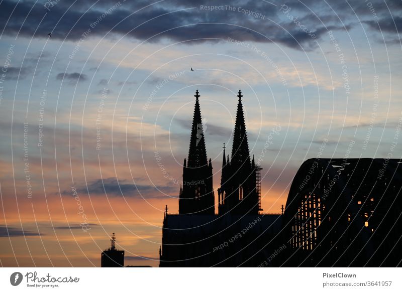 Cologne in the evening Cologne, Sky Town Skyline Rhine Cologne Cathedral Dome Evening