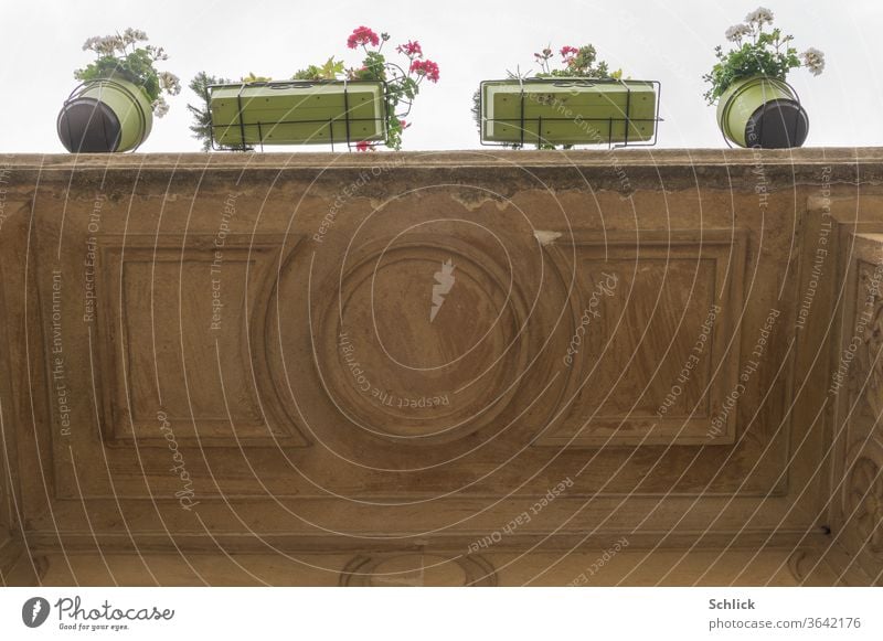 Frog perspective view under a balcony with flower pots and flower box Balcony Worm's-eye view flowerpots Window box Sky flowers green White Red Brown Beige