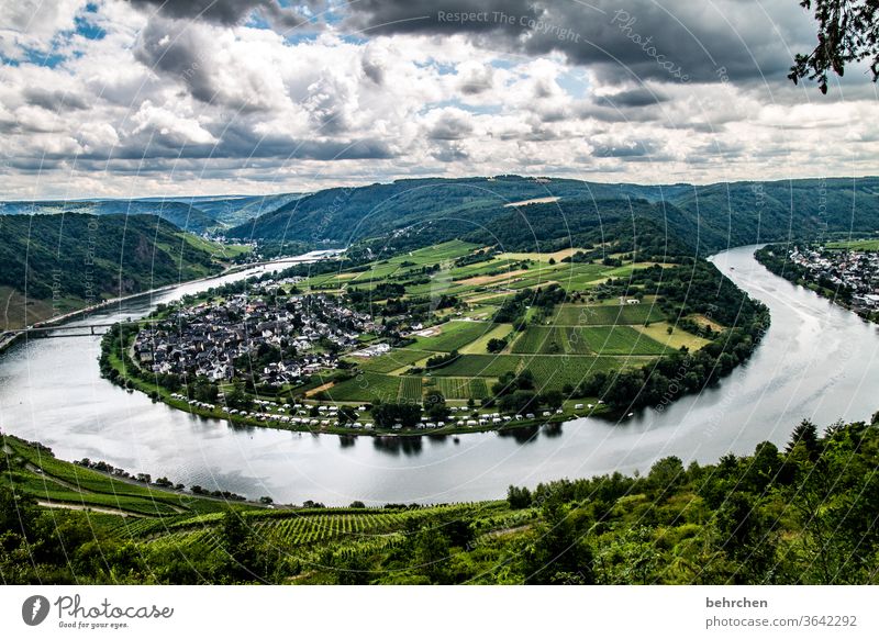 ribbon Forest Vacation & Travel Hiking Nature Landscape Sky Clouds Summer Environment Exterior shot Deserted Colour photo Mountain Tourism Trip Vineyard