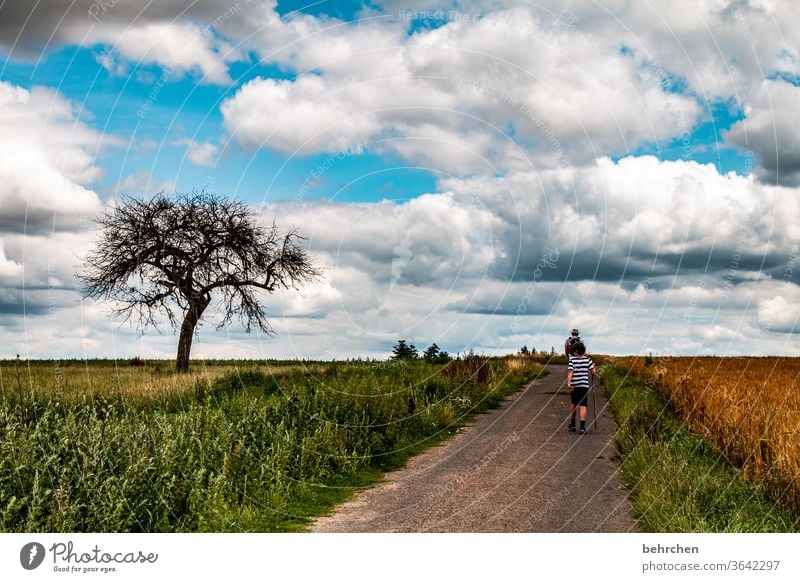 *1700*...because so often the way is the goal Grain field hikers Street Lanes & trails Together Agriculture Exterior shot Environment Mountain in common