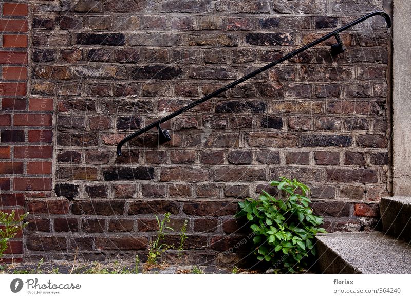 upwards at the church wall Church Manmade structures Building Wall (barrier) Wall (building) Stairs Stone Concrete Going Old Historic Brown Gray Green Optimism