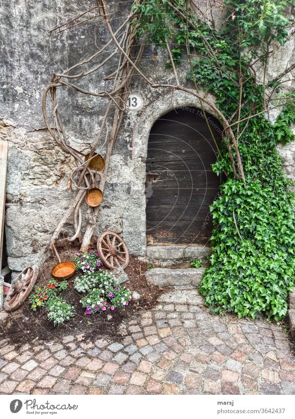 Lovingly designed entrance area to house number 13 Entrance door Wooden door Historic Old Groomed designed with love Facade Wall (building) built