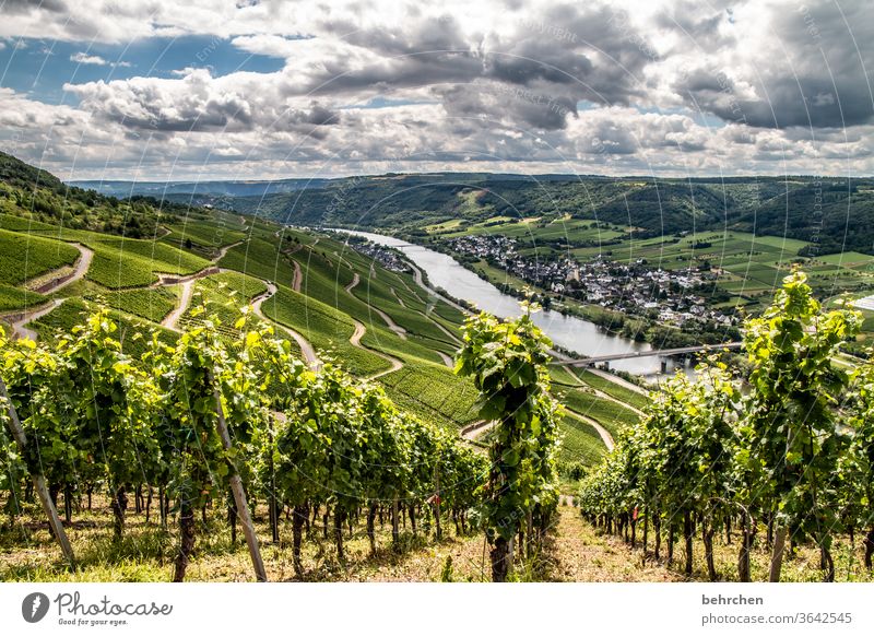 wine is poetry in bottles Forest Vacation & Travel Hiking Nature Exterior shot Environment Summer Clouds Sky Landscape Colour photo Deserted Mountain Tourism