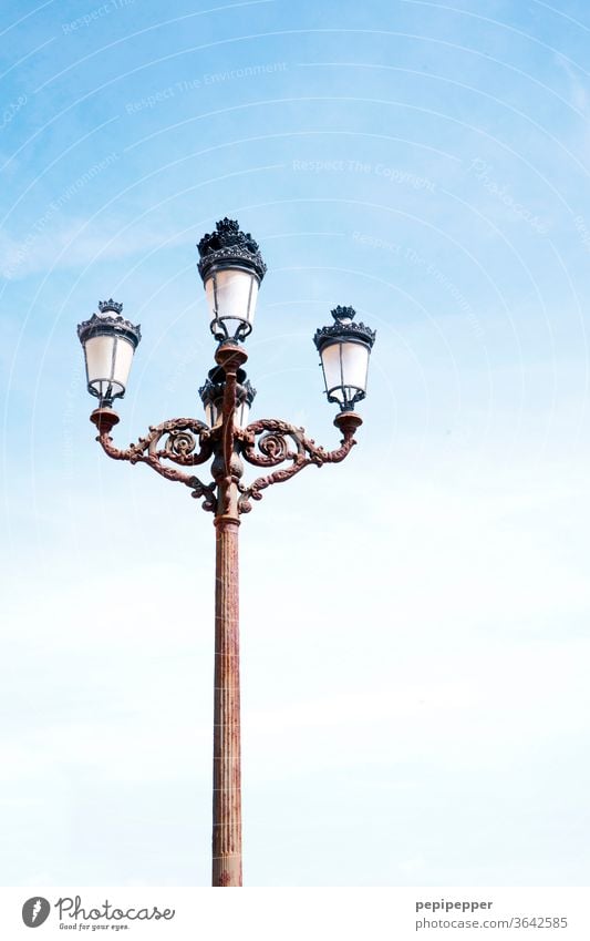 old street lamp Sky Blue sky Cloudless sky Deserted Exterior shot Colour photo Day Copy Space top Beautiful weather Summer Worm's-eye view Street lighting