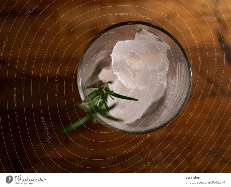 Cocktail glass with ice and rosemary Ice cube Rosemary Beverage Glass Longdrink Cold drink Colour photo Lemonade Alcoholic drinks Fresh Delicious Studio shot