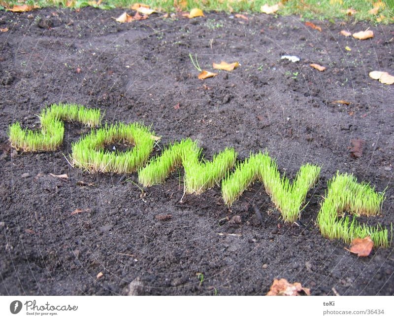 sun Grass Green Letters (alphabet) Garden Park Sun senefelderplatz Lawn marzano luca marzano toki