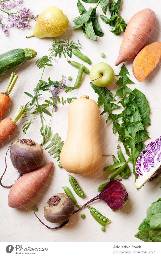 Healthy food ingredients on the table vegetable season produce vegetarian healthy natural carrot above raw green butternut squash beetroot nature vegan