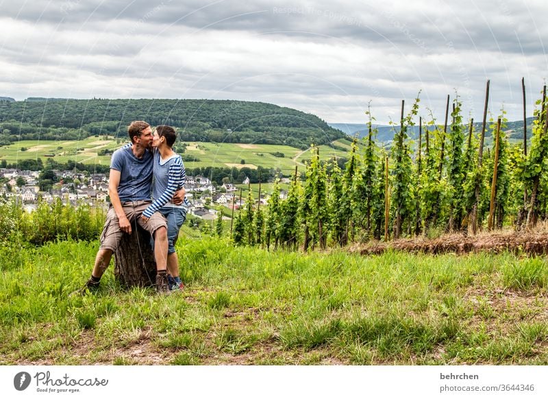 12!!! years Hunsrück Moselle valley Wine growing Rhineland-Palatinate River bank Mosel (wine-growing area) Sunlight tranquillity Idyll vine Vine Bunch of grapes