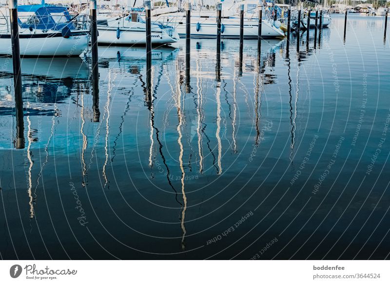 in the evening at the marina - moored sailboats, whose boats and masts are reflected in the smooth water The masts are illuminated by the evening sun and lose themselves in the darkly shaded water.