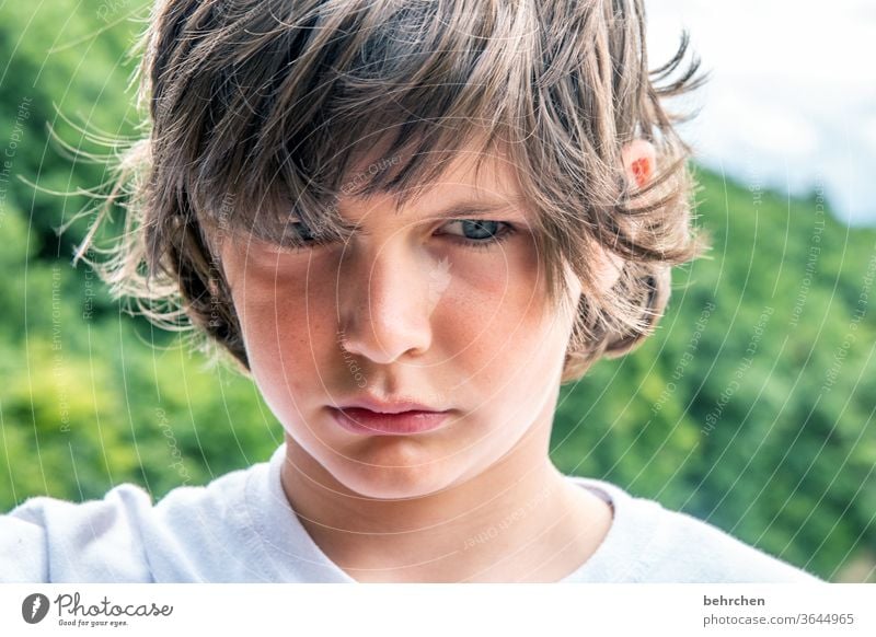 whoa, leave it alone! Colour photo Family Exasperated blue eyes Close-up Child Boy (child) Infancy Face Day Light Contrast portrait Sunlight Hair and hairstyles