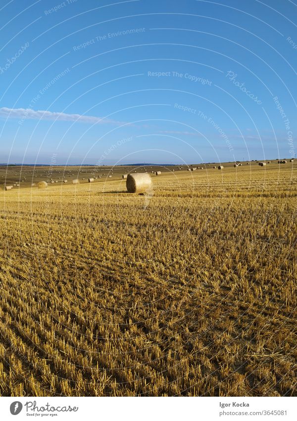 Hay Bales In Field Against Blue Sky Hay bale Sunlight scenic Agriculture Farm Harvest Rural Summer