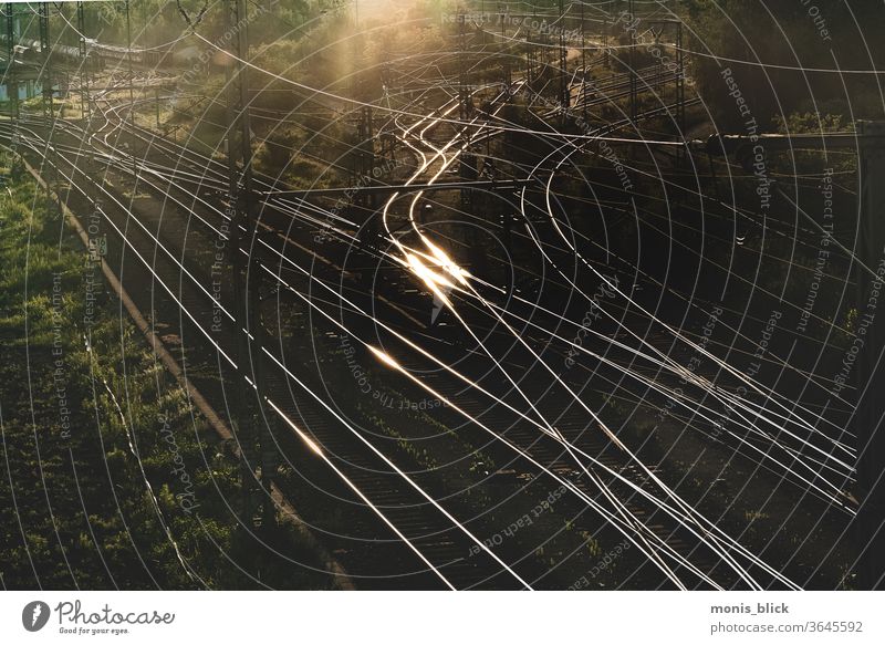 Railway tracks in the evening light Evening evening mood Munich Sunset City walk Exterior shot Sky Colour photo Deserted Calm Railroad tracks Train station