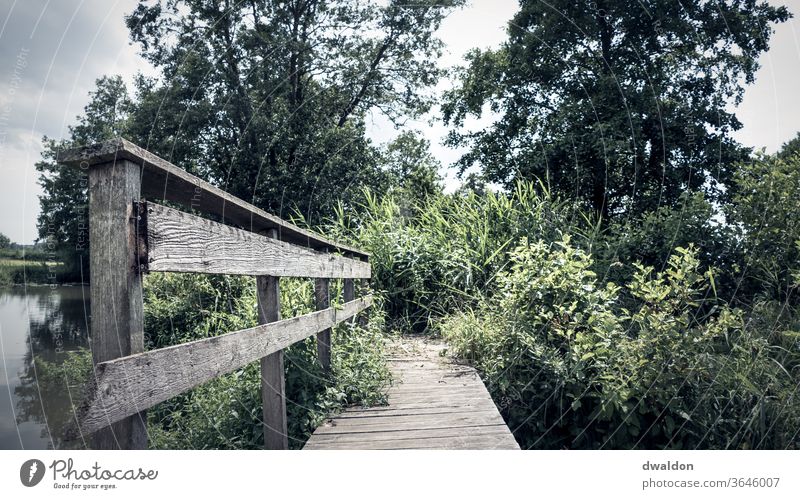 Lonely wooden bridge Wooden bridge Exterior shot Colour photo Deserted Day Nature Water Pole Shadow Landscape Environment Lanes & trails Lake Vacation & Travel