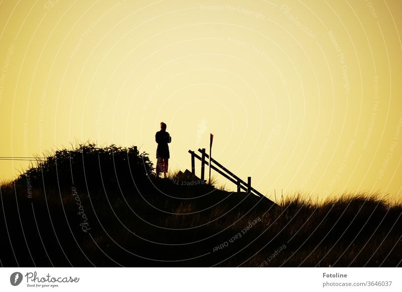 Post something on Instagram as the sun goes down - or a young woman stands on a dune in the sunset and checks her mobile phone Sunset Helgoland Woman Handrail