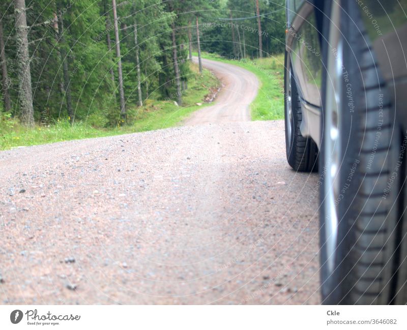 Through Värmlands forests Forest Forest runway car Car Car tire downhill Impassable huts Wilderness Loneliness Exterior shot Transport Vehicle Street