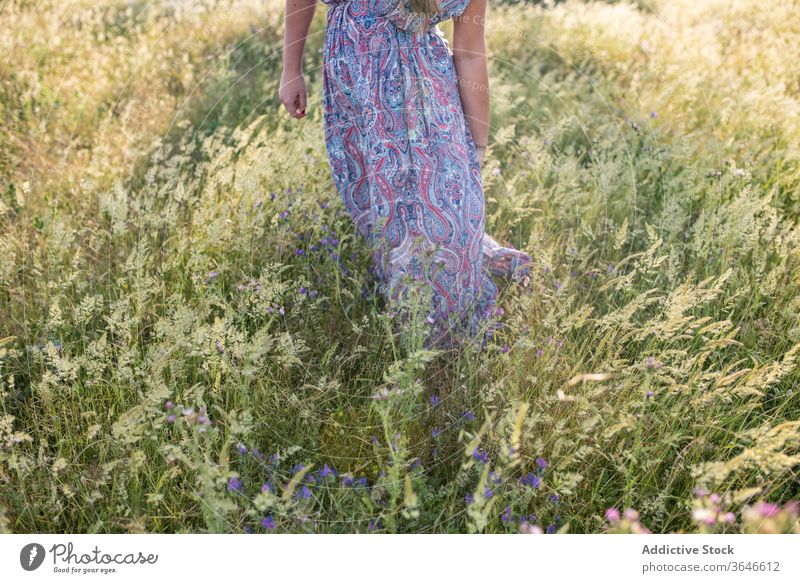 Anonymous woman in green field summer enjoy dress meadow sunny nature female cheerful vacation trendy stand freedom weekend daytime carefree rest lady idyllic