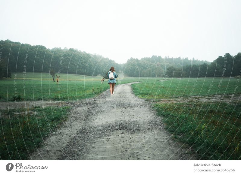 Traveling woman walking along road in meadow field deer pasture travel tourist nature wild admire landscape female green trip sand wet fog adventure holiday