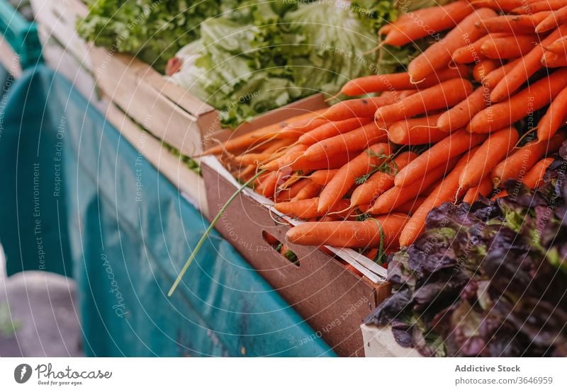 Fresh vegetables on stall in market grocery assorted various fresh carrot cabbage lettuce counter organic food wooden box store retail sell vitamin buy