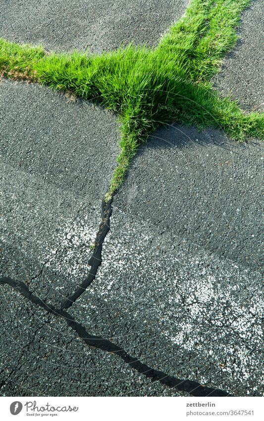 Asphalt, crack, grass, paint Berlin Far-off places Trajectory Airport Airfield Freedom spring Sky Horizon Deserted taxiway Skyline Summer Mirror image Tempelhof