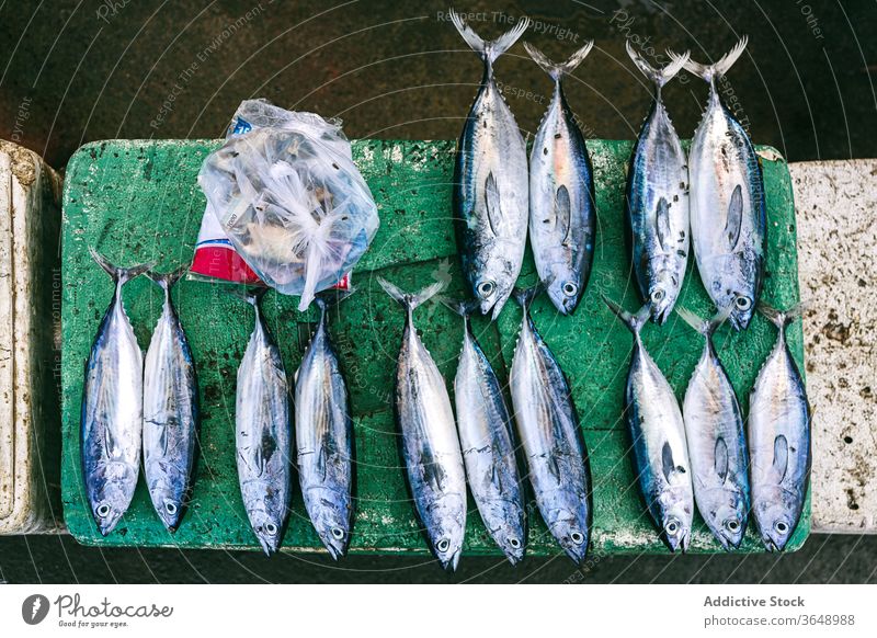 Fresh fish on shabby surface catch raw fresh tuna uncooked seafood stone border weathered row line rough ingredient gourmet delicious healthy natural grunge