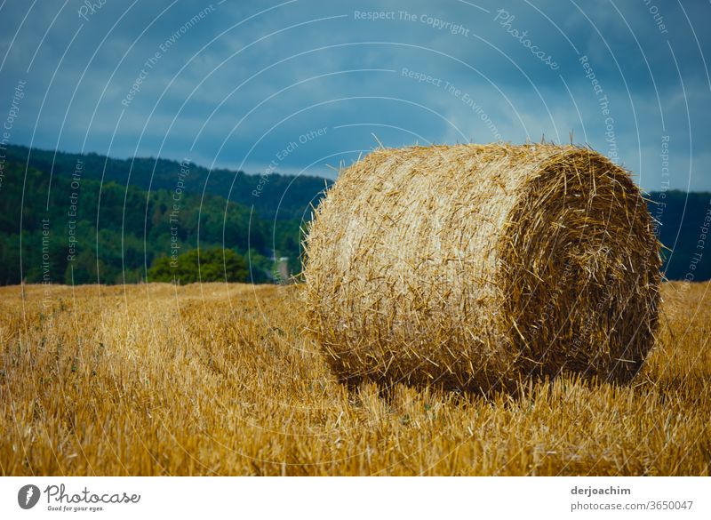 Wheat bales rolled up in a harvested field, in a beautiful Franconian landscape blue sky green forest. Wheatfield Cornfield Colour photo Nature Grain Field