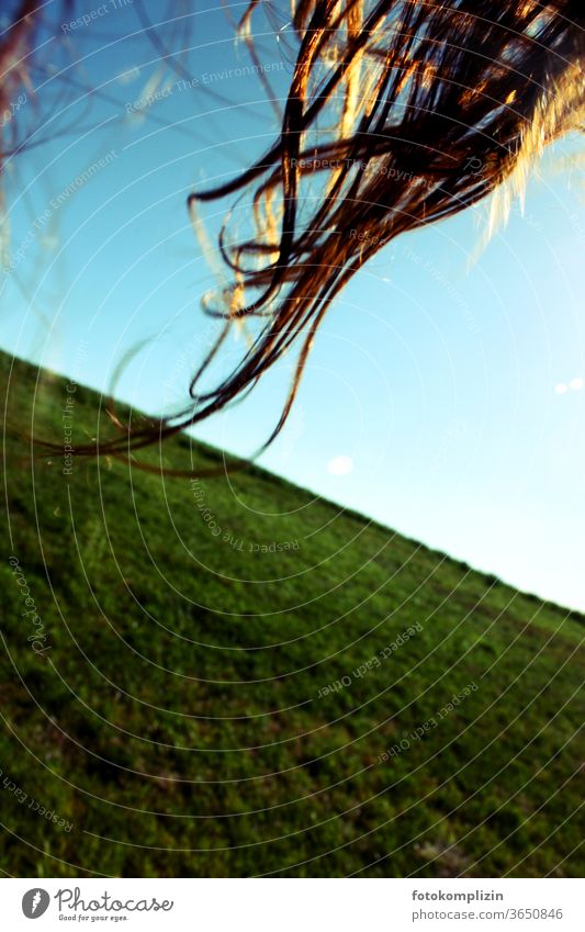 hair in sunlight hair in the wind Hair Stylist Hair and hairstyles Sunlight Light Visual spectacle Shaft of light Woman Long-haired Feminine Wind Curl Summer