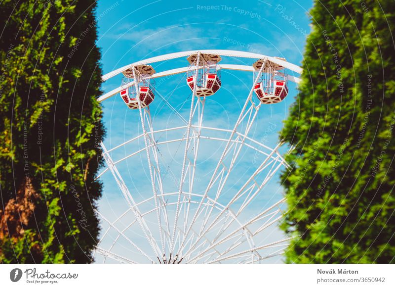 A ferris wheel with red cabins beetween two bushes outdoor light fun nobody colorful swing sky park attraction carnival small round entertainment cage beautiful