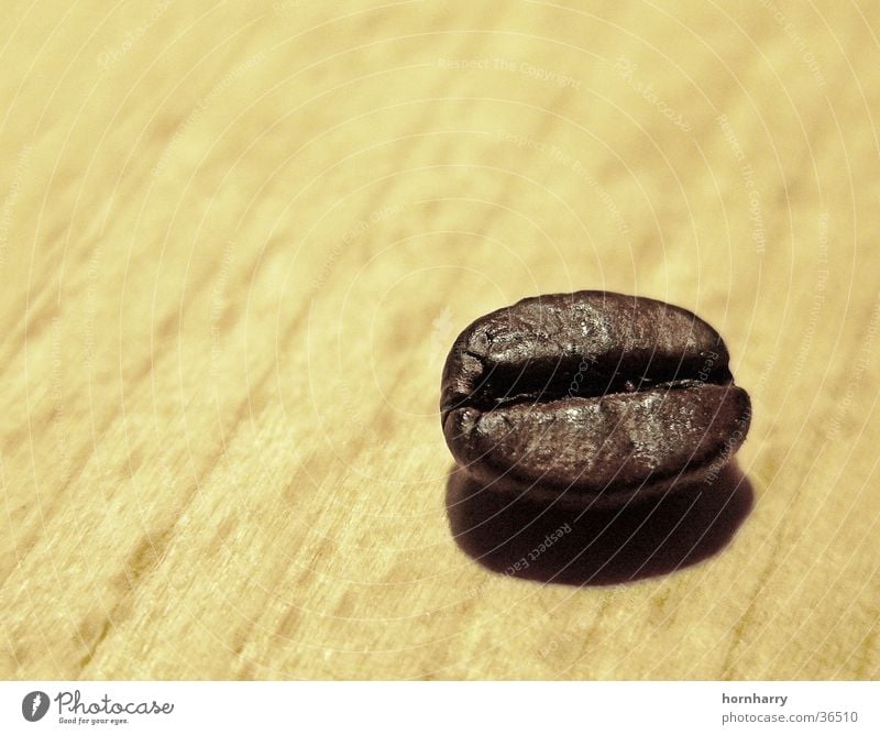 Not the bean Beans Café Coffee bean Espresso To enjoy Italy Macro (Extreme close-up) cappuccino Wooden board toast