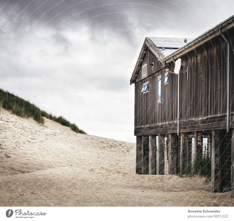 Beach bar at the North Sea Netherlands Ocean dunes Sand Vacation & Travel Exterior shot Nature Colour photo Tourism Marram grass