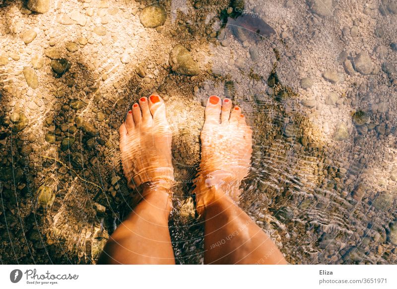 Standing with bare feet in the cold water of a stream. Summer. Water sunshine Brook Naked Refreshment bathe Sun Light River Wet Nature Cold Swimming & Bathing