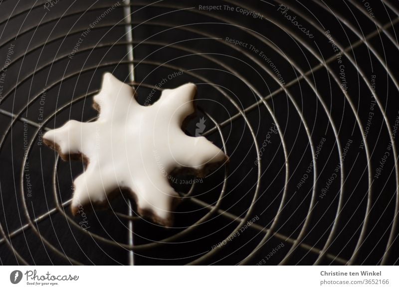 Symmetry | homemade Christmas cookie in the shape of a white snowflake lies in the middle of a cake grid Christmas cookies Christmas biscuit Snowflake glaze