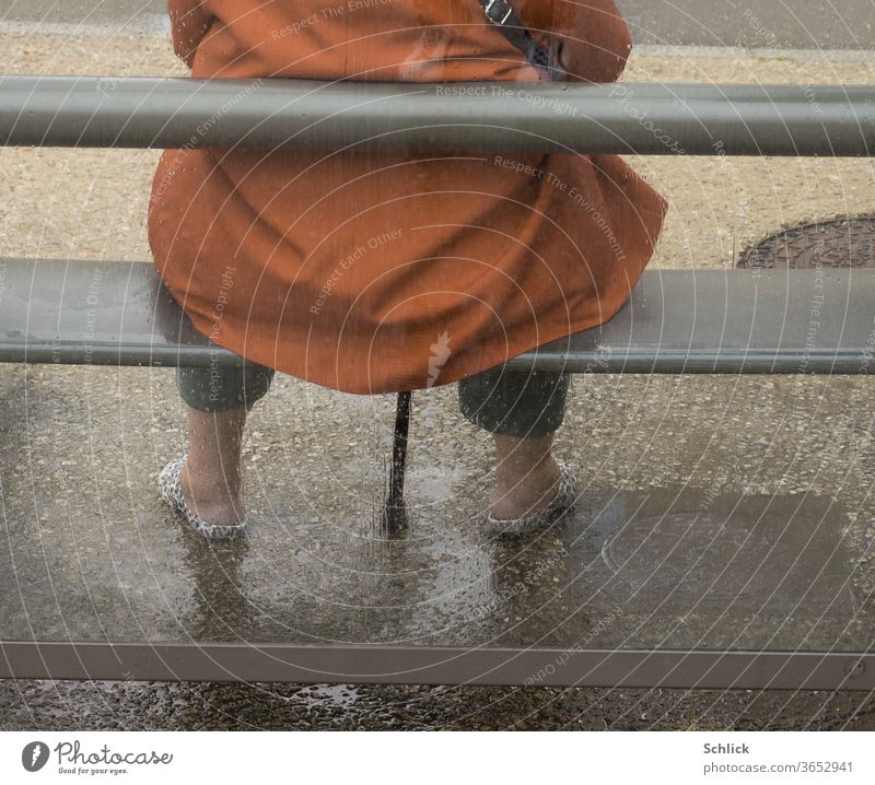 Woman with walking aid sitting on bench in bus shelter in rainy weather Rear view Shelter Rainy weather Walking aid Sit Wait fuselage without head