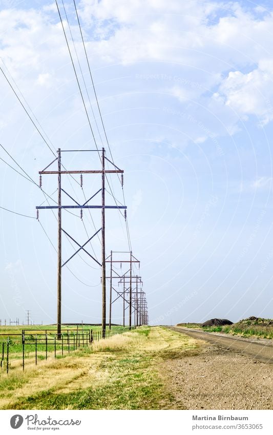 Wooden electic poles with a blue sky in the background rural voltage technology electricity power industry line light wire cable danger metal wooden industrial