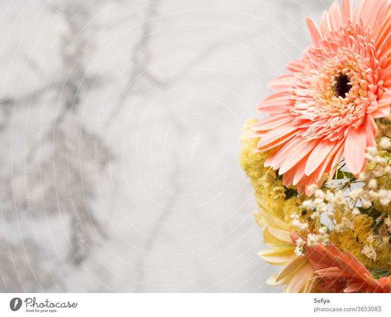 Yellow and pink gerbera daisy floral bouquet background funeral flowers marble greeting card layout yellow mothers day arrangement summer beautiful wedding