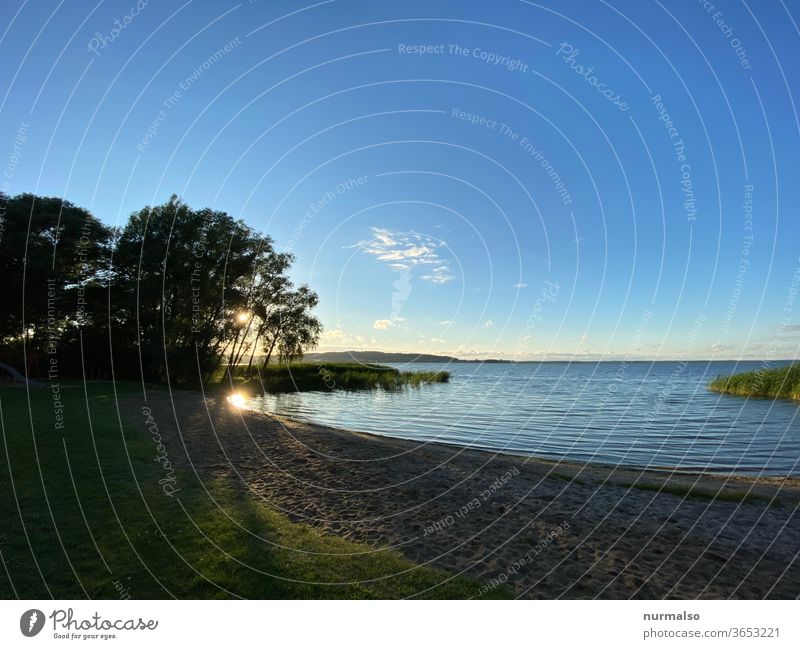 Evening at the lake Lake Sunset Beach Freshwater mecklenburg pomerania kummerow Farmhouse senses beautifully Summer Deserted Sandy beach reed Relaxation