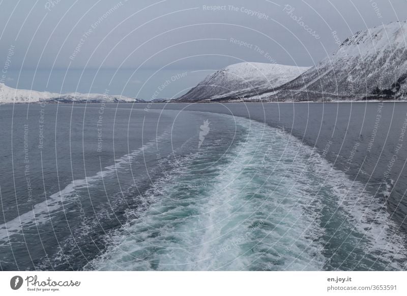 Boat trip to the Lofoten in Norway with a view of the backwaters Navigation trace ship track Water Ocean North Sea Lofotes Scandinavia Winter chill Snow