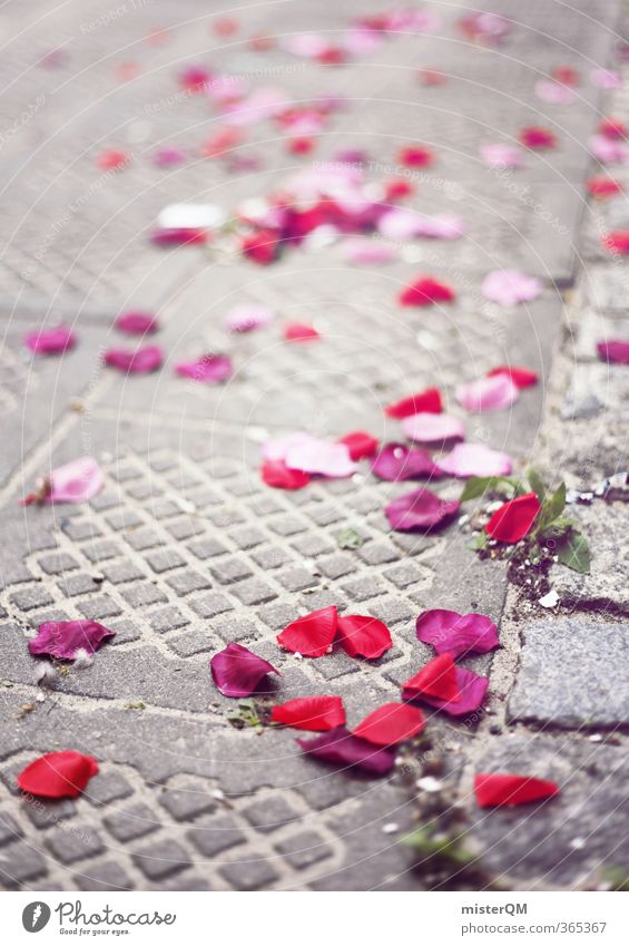 Rose Day. Art Esthetic Rose leaves Wedding Wedding anniversary Wedding ceremony Wedding party Street Red Pink Many Blur Colour photo Subdued colour