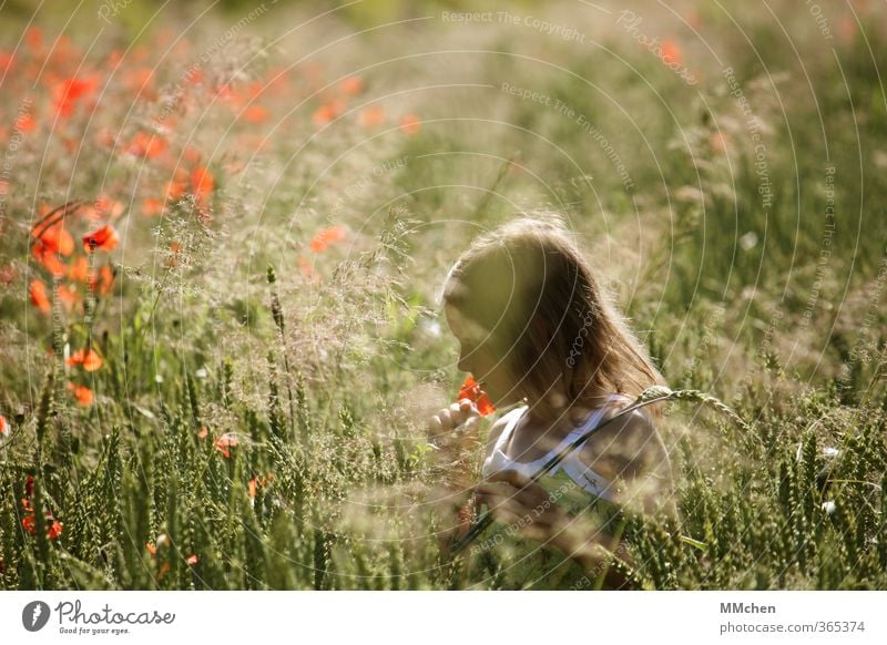 summer day Joy Contentment Relaxation Leisure and hobbies Playing Trip Child Girl Infancy 1 Human being 3 - 8 years Nature Flower Meadow Field Hiking Curiosity