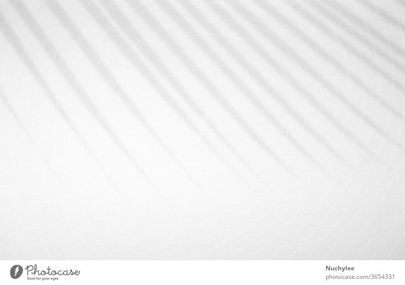 Realistic and organic tropical leaves natural shadow overlay effect on white texture background, for overlay on product presentation, backdrop and mockup