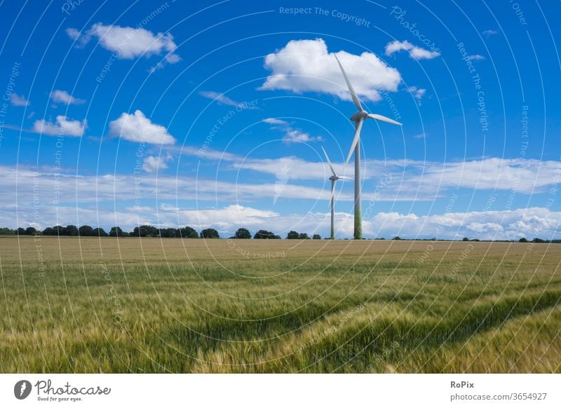 Windmills in a cornfield on a summer day. Nature Cornfield flowers Field Agriculture papaver Grain Barley rye acre bleed poppyseed Contrast Summer Weather