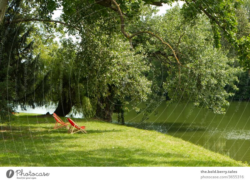 Red deckchairs under a tree on the shore of a lake Deckchair Summer Relaxation Sunbathing Summer vacation Day Deserted Colour photo Exterior shot Lake bathe