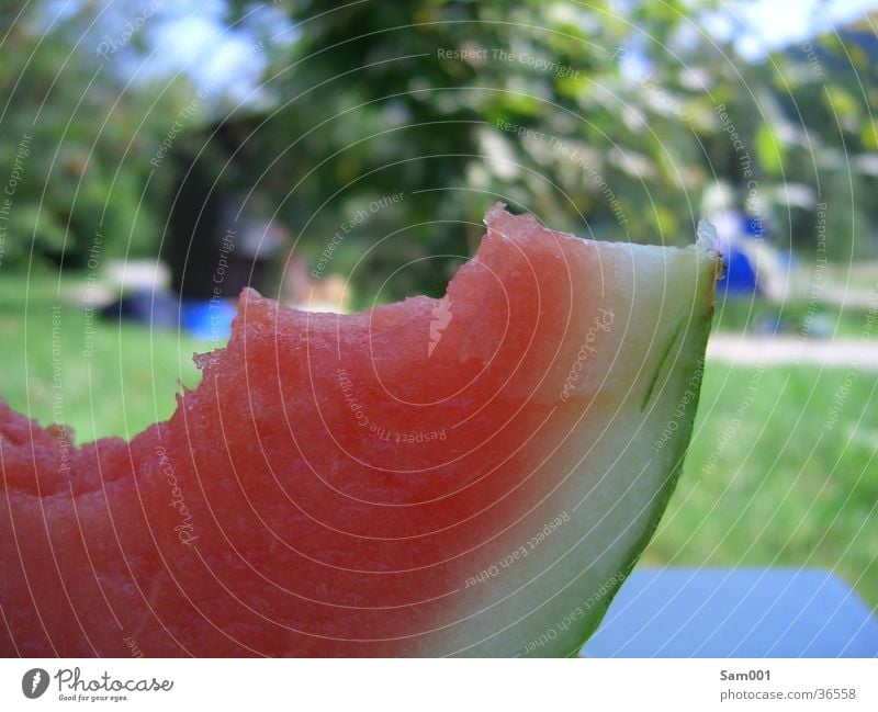 watermelon Water melon Summer Red Delicious Refreshment Sweet Healthy Fruit Nutrition