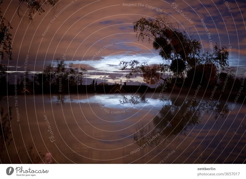 At night again Evening Night conceit Window reflection Glass cloud Light tree Branch Twig Gap in the clouds Mirror Spherical sphere Weather Meteorology