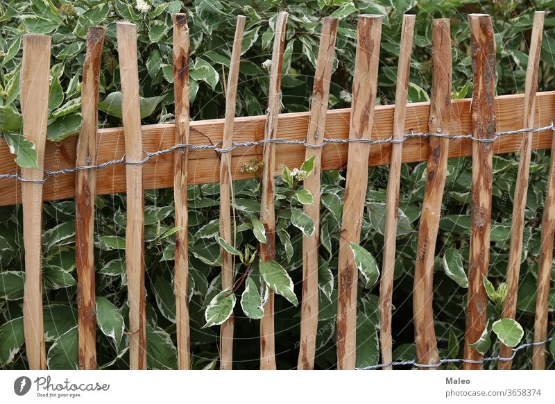 Wooden fence made of planed twisted wire branches background green natural nature rusty wooden adventure barb barbed bright country dangerous detail dirt dry